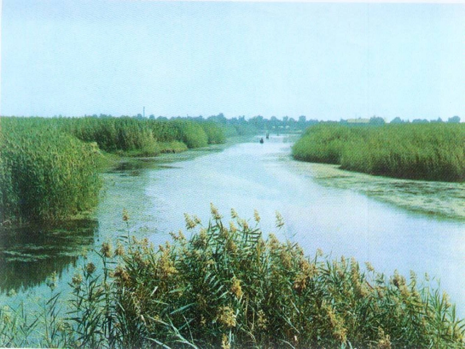 芦苇荡PPT_第2页