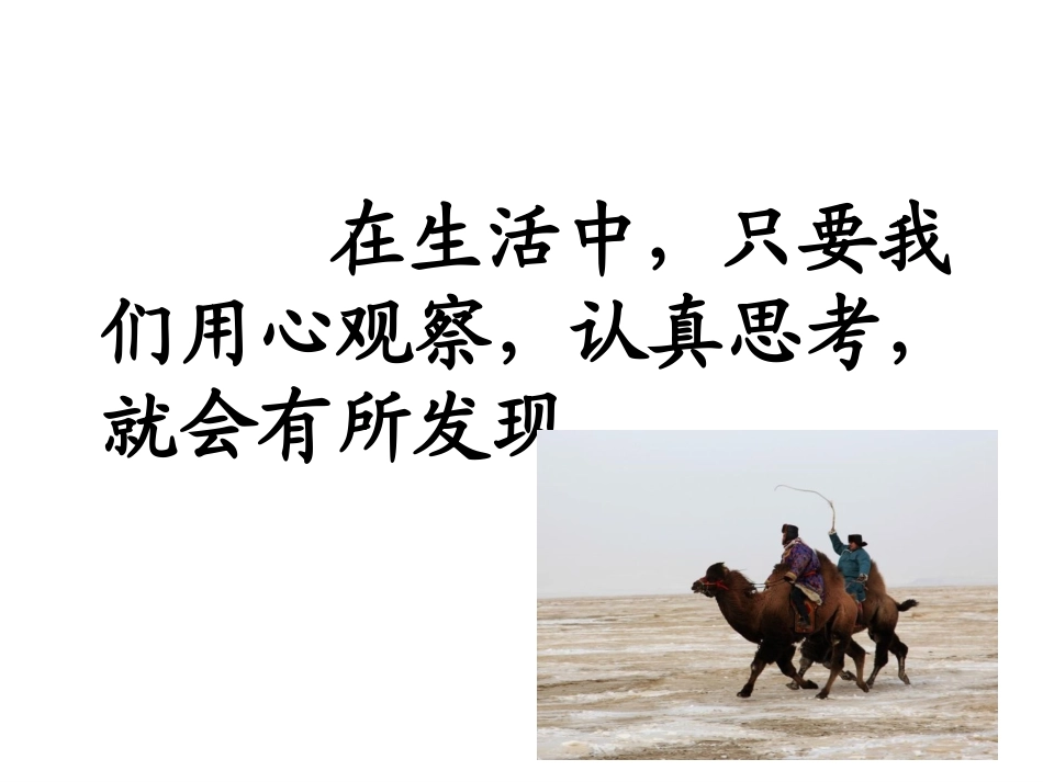 找骆驼演示文稿_第2页