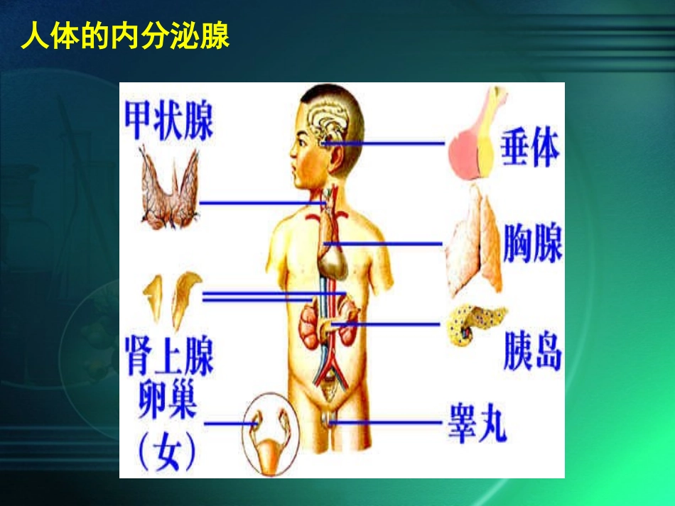 第四节激素调节_第2页