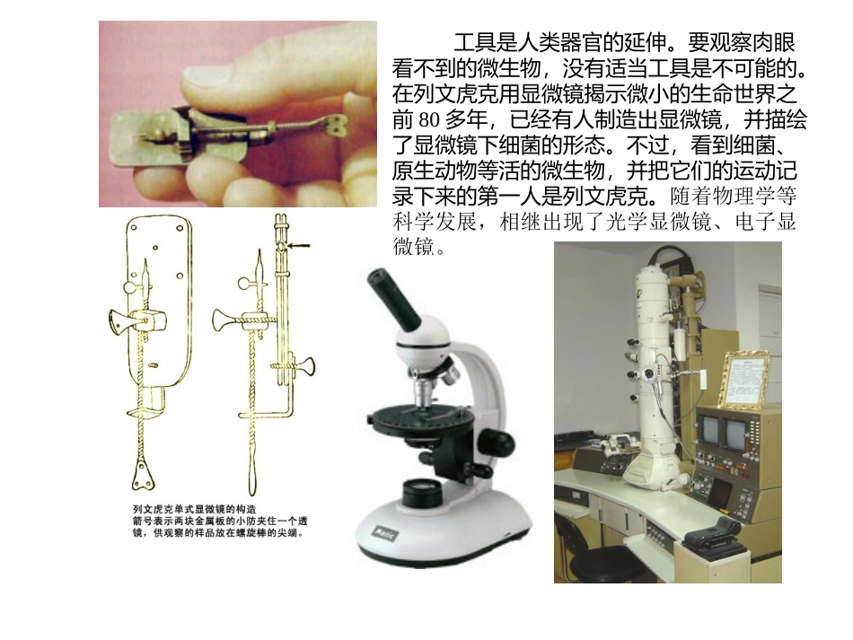 显微镜下的生物_第2页