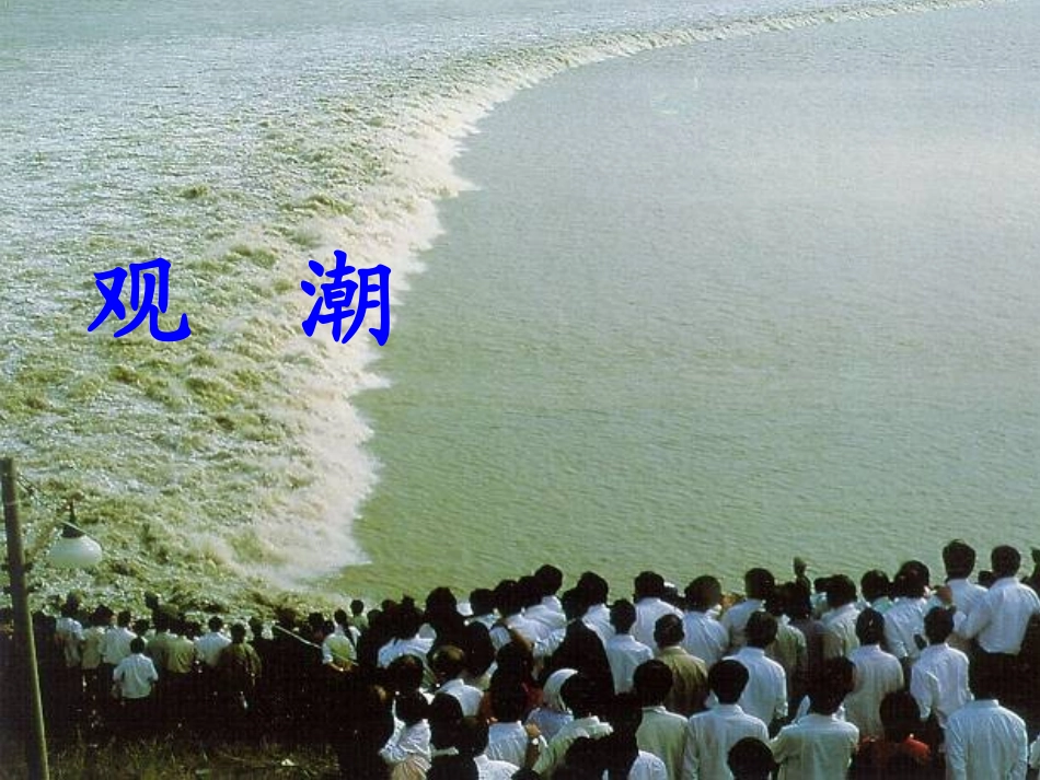 1、《观潮》_第1页