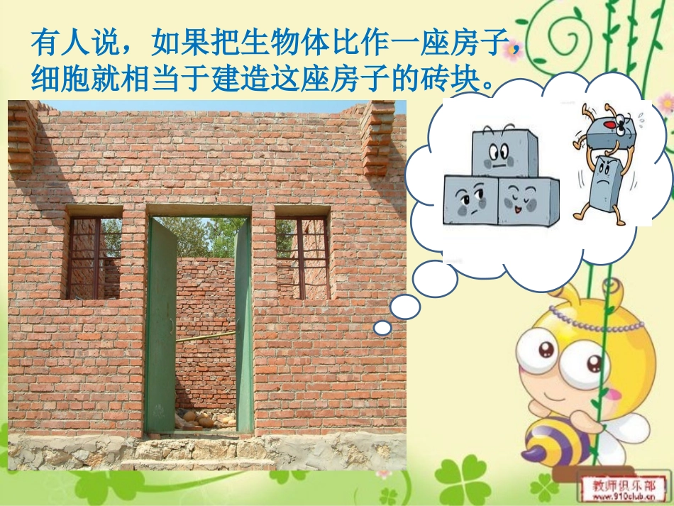 211练习使用显微镜_第2页