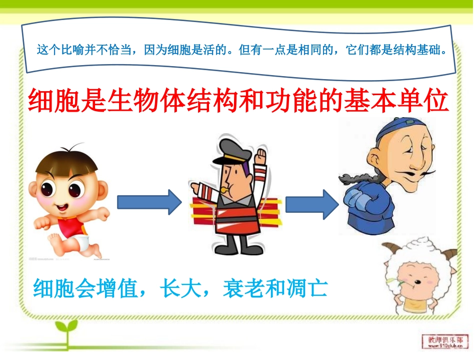 211练习使用显微镜_第3页