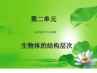 211练习使用显微镜