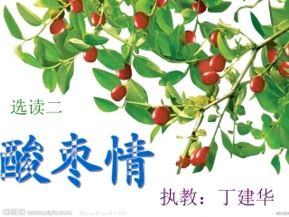 酸枣情（录播课