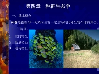 4、种群及其基本特征