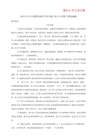 2024年小升初【核心考点集训】课外阅读专项突破-(含答案)