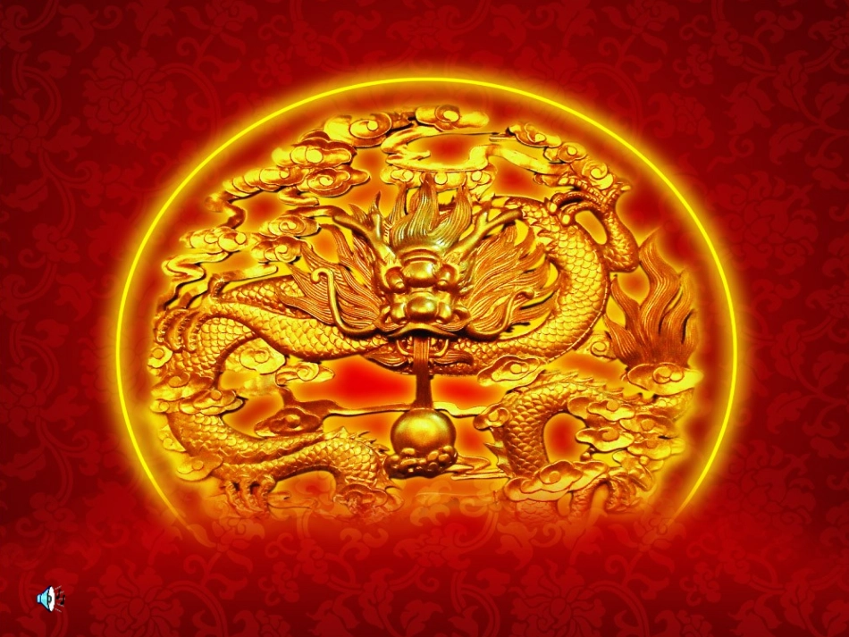 遨游汉字王国1_第3页