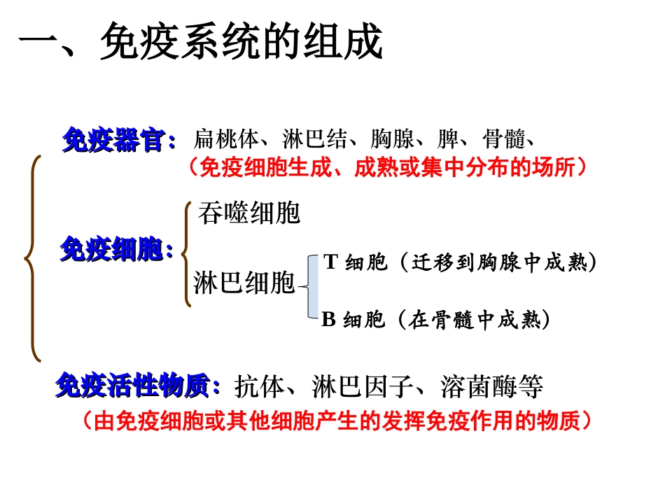 24免疫调节_第3页