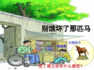 别饿坏了那匹马