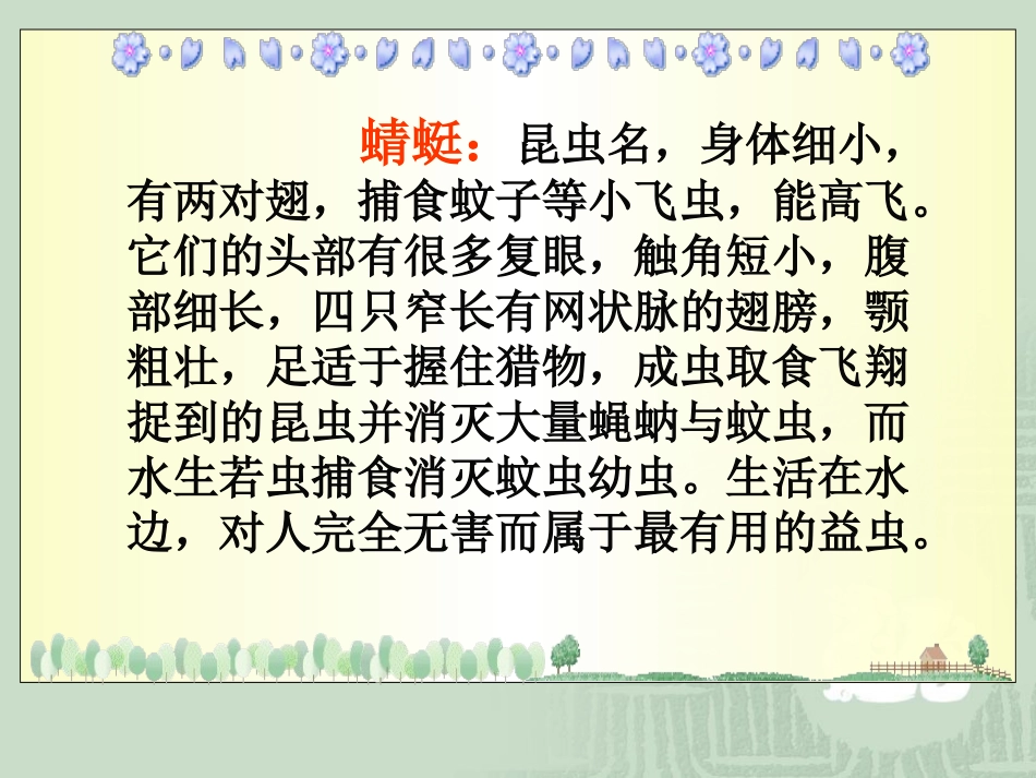 18放飞蜻蜓第1课时_第3页