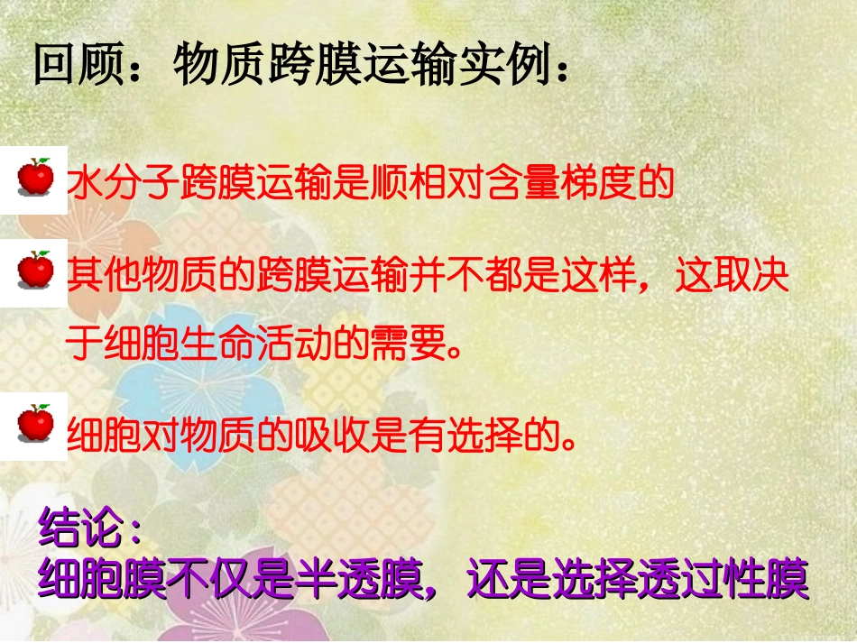 4-3物质跨膜运输的方式_第2页