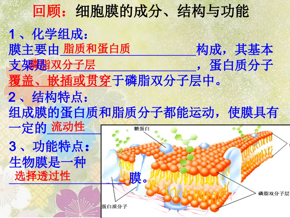 4-3物质跨膜运输的方式_第3页