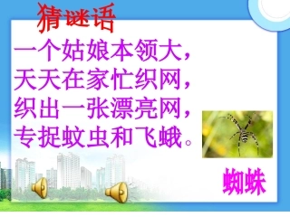 19蜘蛛织网