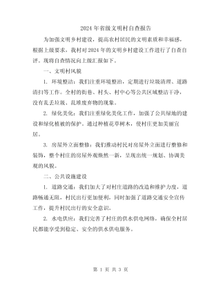 2024年省级文明村自查报告