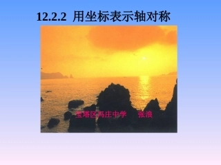 用坐标表示对称
