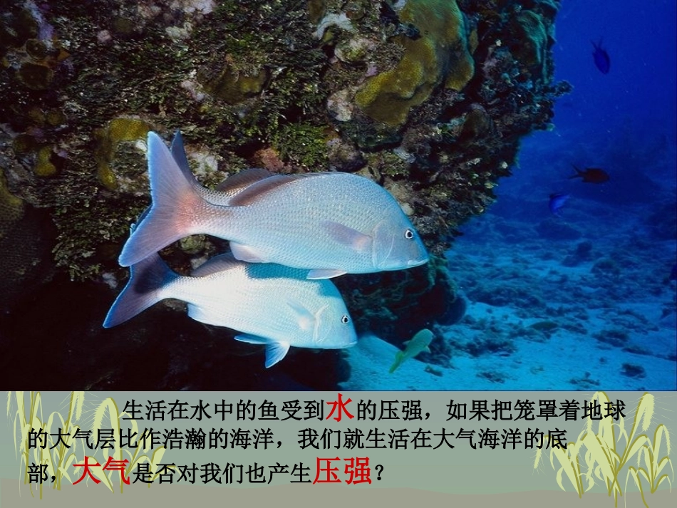 93大气压强_第2页