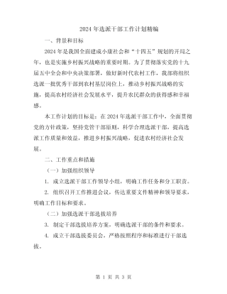 2024年选派干部工作计划精编