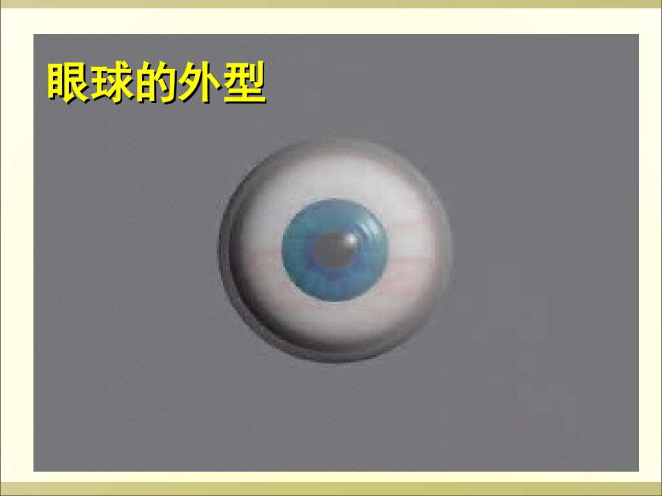 1_[人体对外界环境的感知]_课件_第3页