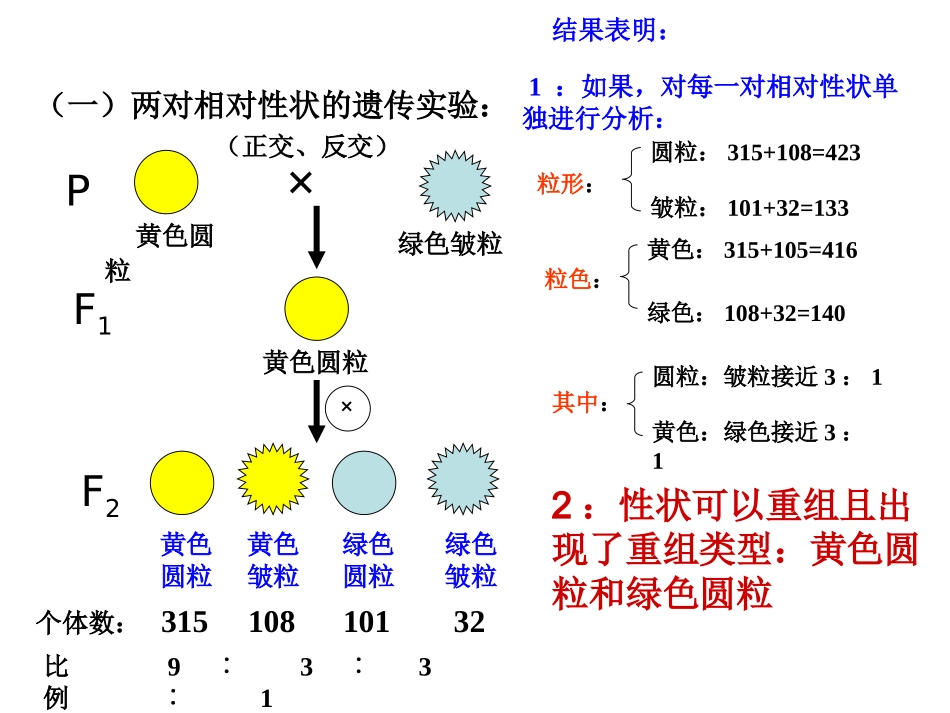 基因的自由组合_第1页