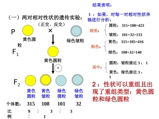 基因的自由组合