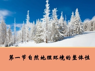 51自然地理环境的整体性 (2)