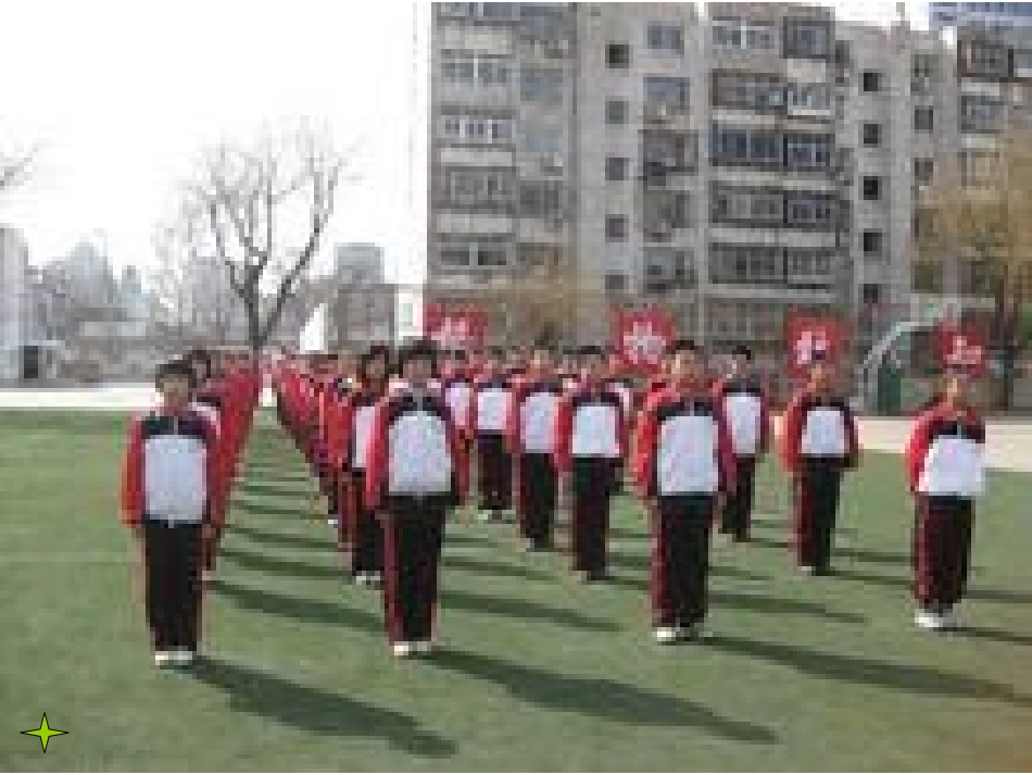 第八板块猫和狗·鸭和鹅 (2)_第3页