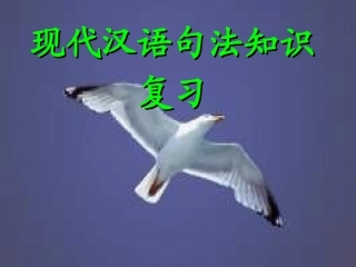 现代汉语句法