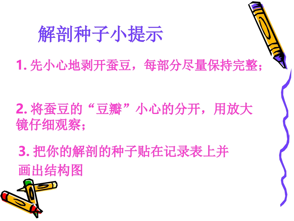 25种子的萌发_第3页