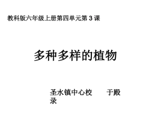 43《多种多样的植物》案例一
