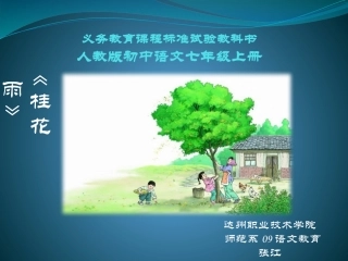 7桂花雨课件1