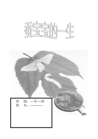 蚕宝宝观察案例
