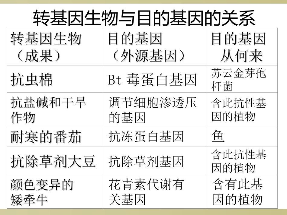 基因工程的应用_第2页