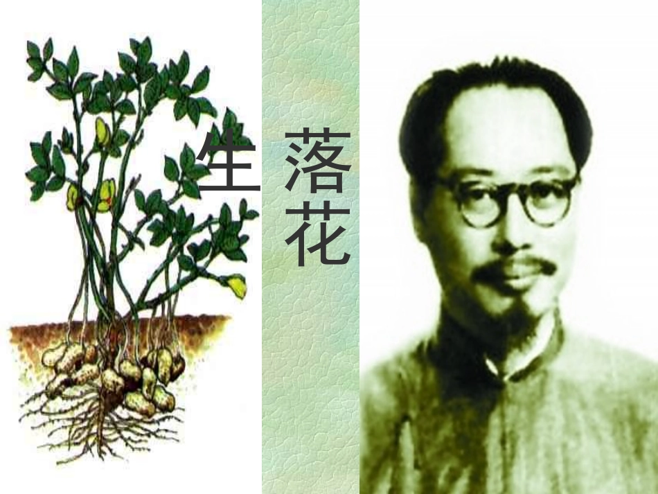 落花生 (3)_第2页