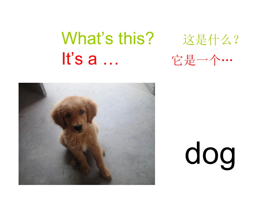 杨旗英语课件_第1页