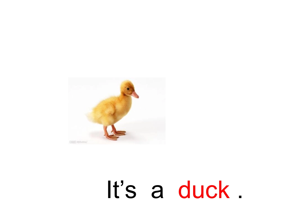 杨旗英语课件_第2页