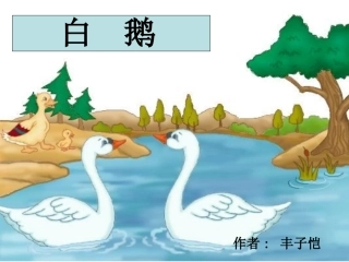 白鹅 (3)
