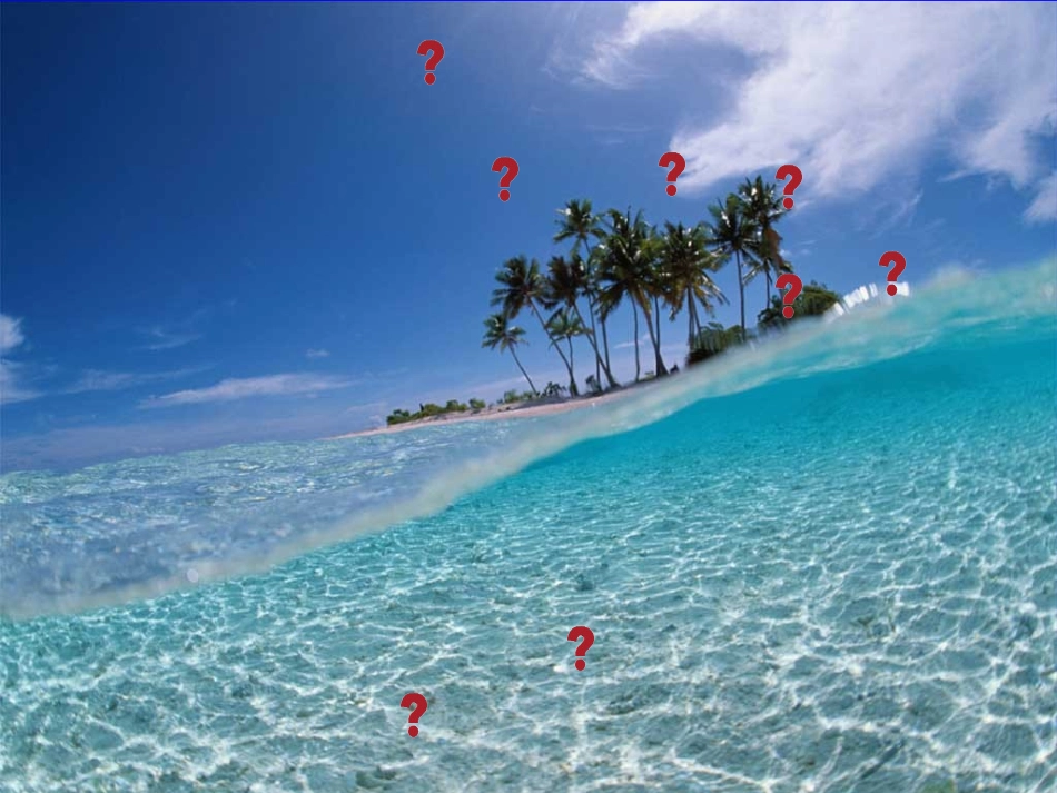 34南亚课件_第3页