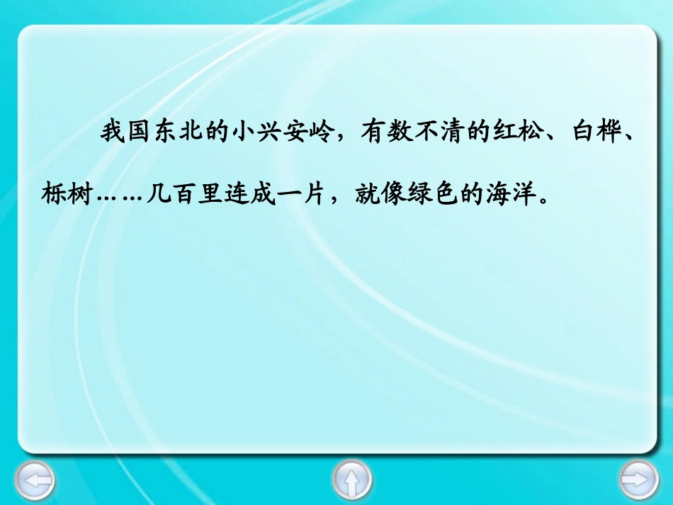 美丽的小兴安岭3_第3页