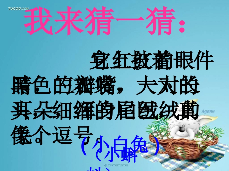 作文：小金鱼_第3页