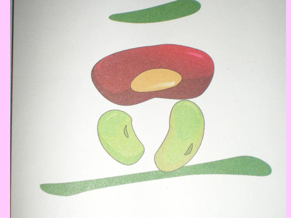 神奇的字宝宝_第2页