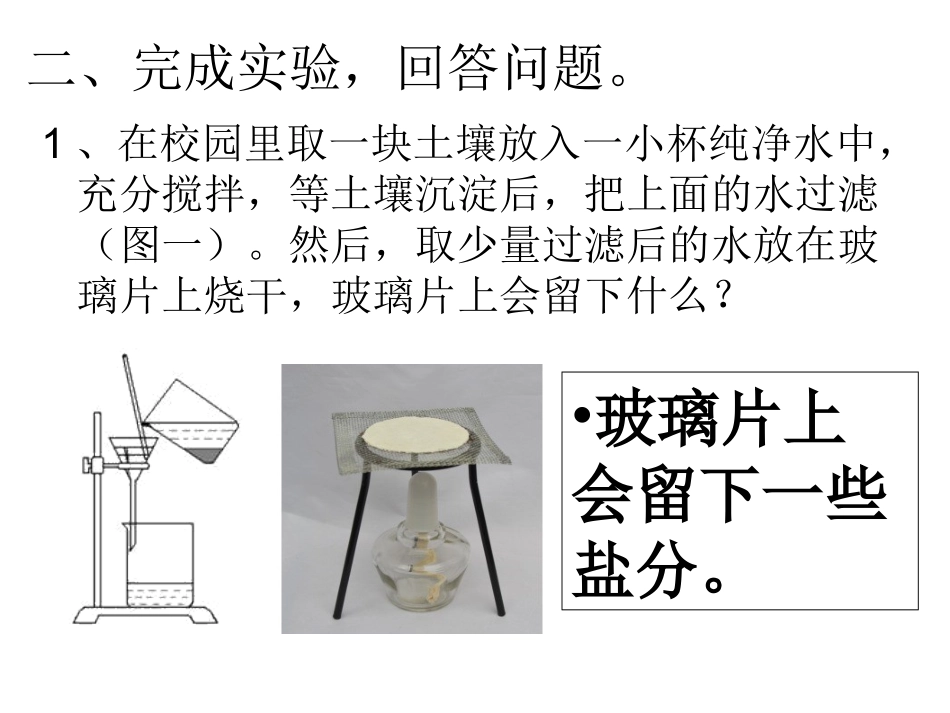 1、认识土壤_第3页