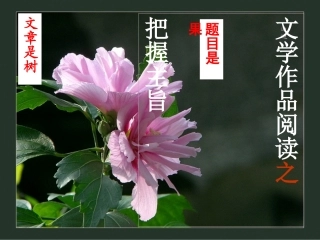 主旨的准确把握