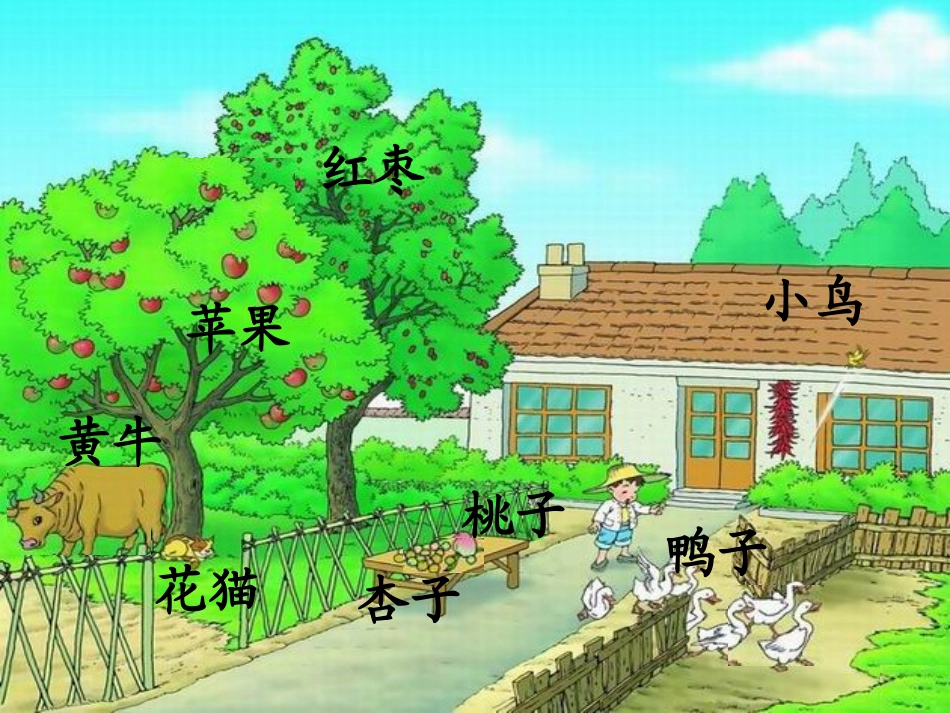 识字(二)1比一比_第3页