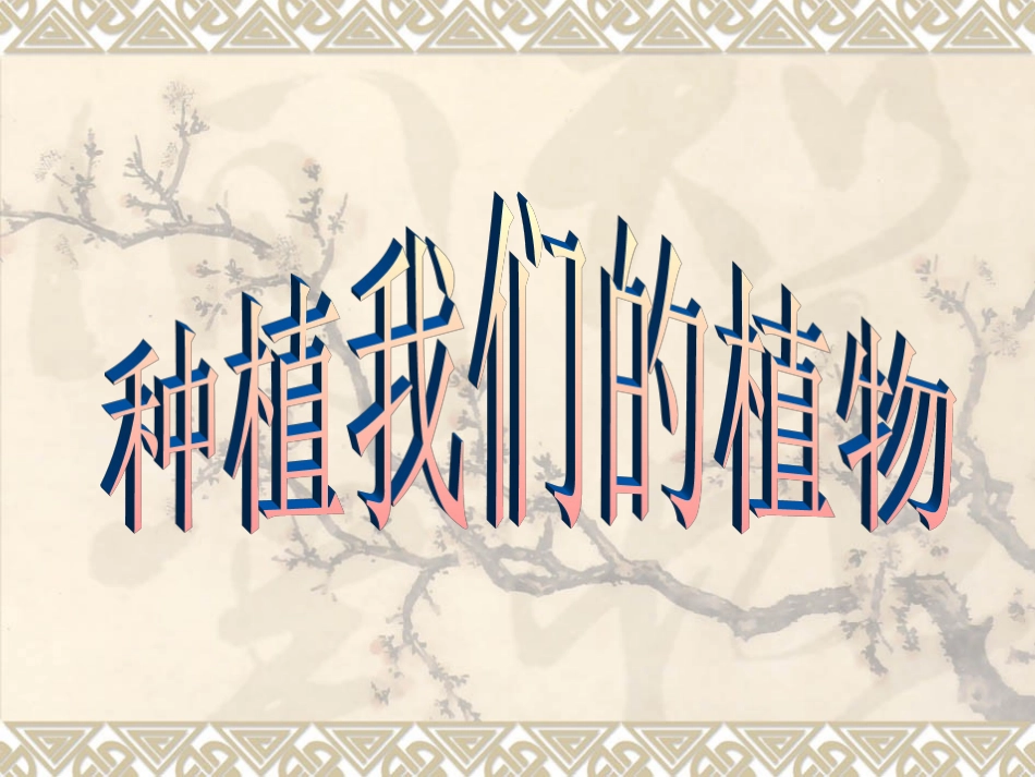 第一单元《2种植我们的植物》_第1页