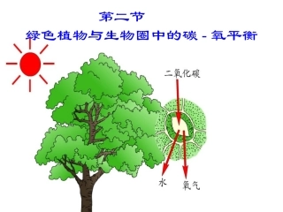 第17章第二节（魏梅凤）