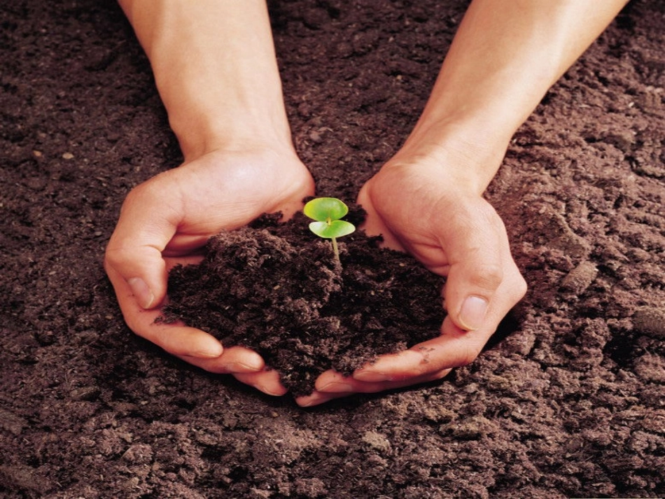 生命只有一次 (2)_第1页