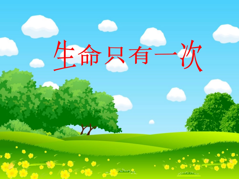 生命只有一次 (2)_第2页