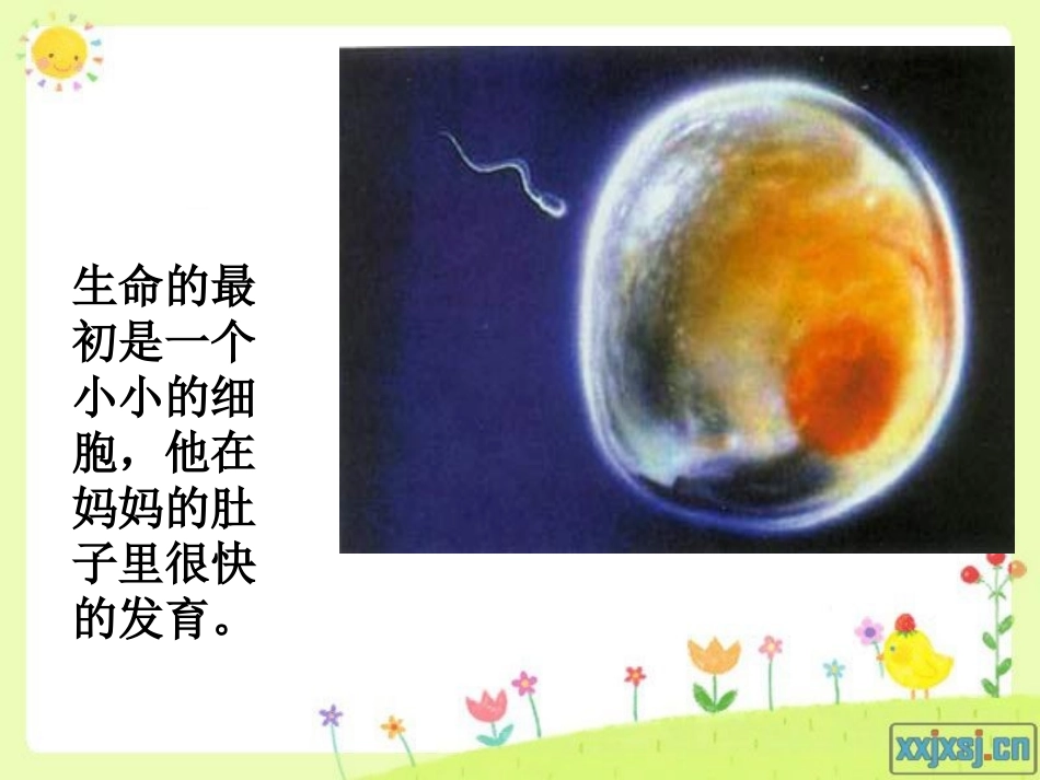 生命只有一次 (2)_第3页