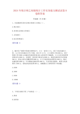 2024年统计师之初级统计工作实务能力测试试卷B卷附答案 